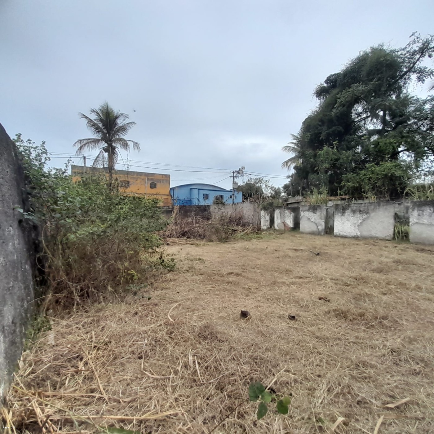 Canil e fundos do campo