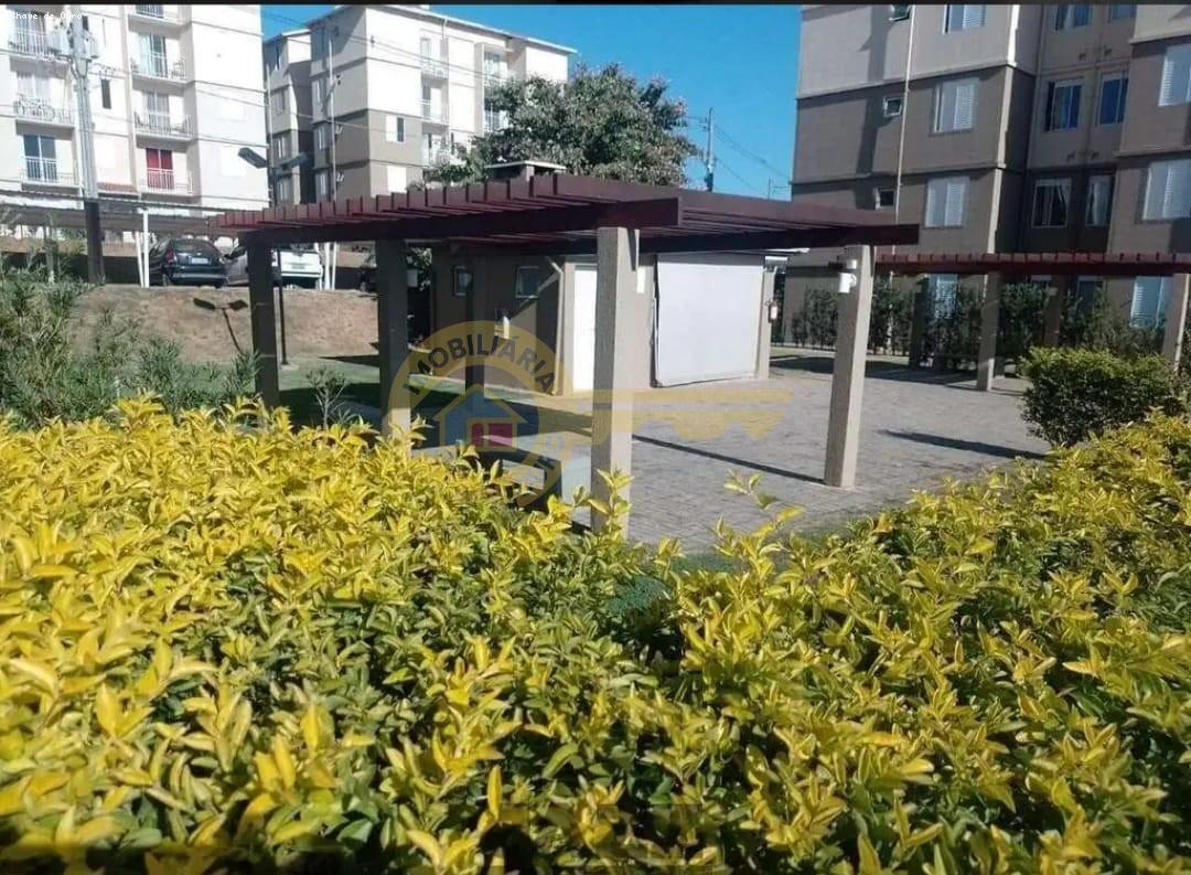 imagem-miniatura