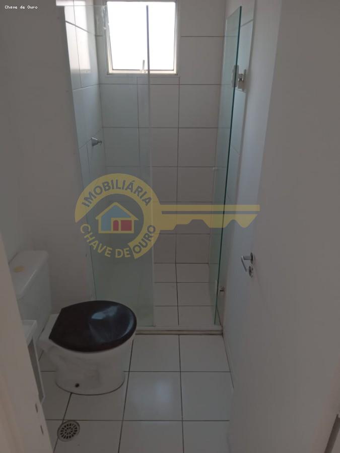 imagem-miniatura