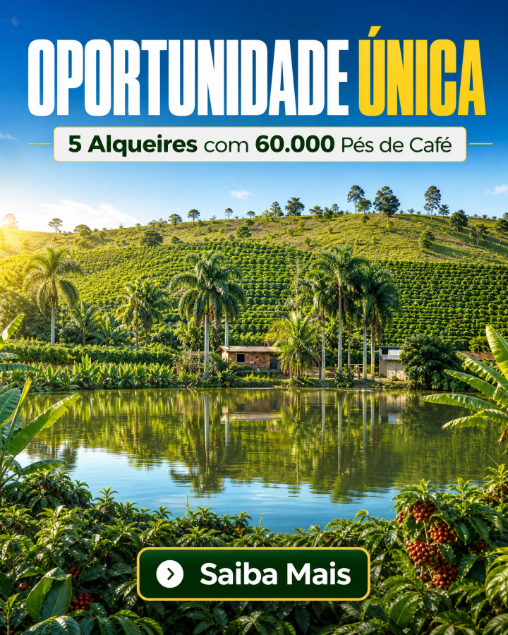 Fazenda para Venda, em Barra de S�o Francisco, bairro , 2 dormit�rios, 1 banheiro