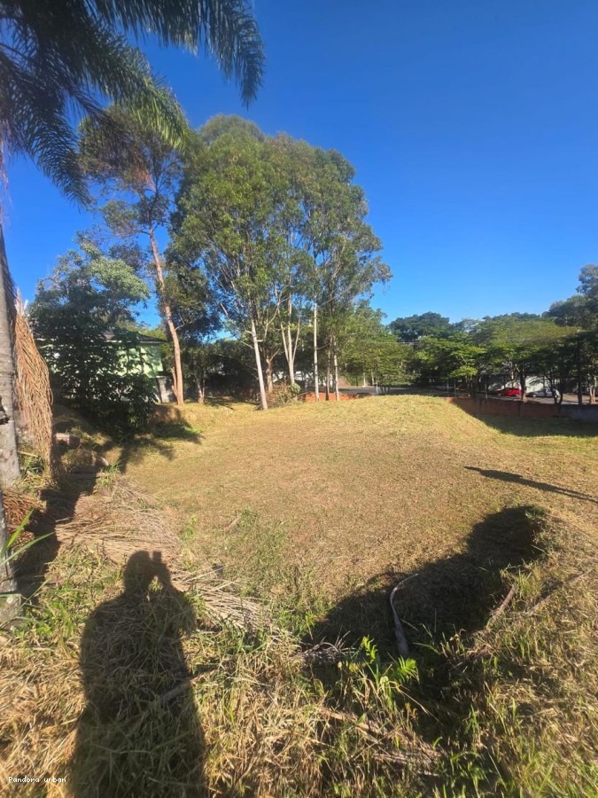 imagem-miniatura