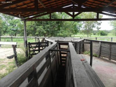 Fazenda para Venda, em Santa Rita de Cssia, bairro ZONA RURAL