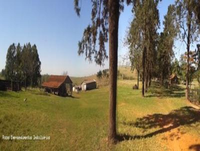 Fazenda para Venda, em Santo Anastcio, bairro Santo Anastcio