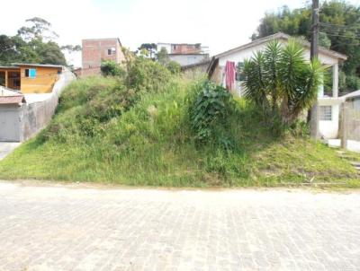 Terreno para Venda, em Quatro Barras, bairro Jardim Orestes Th