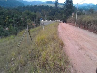 Imveis Comerciais para Venda, em Jarinu, bairro Vila Primavera