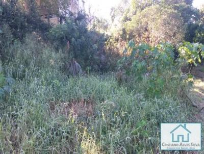 Terreno para Locao, em Sapiranga, bairro Centenrio