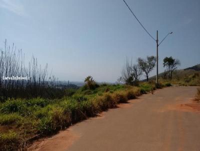 Terreno para Venda, em Roseira, bairro Residencial Village So Pedro