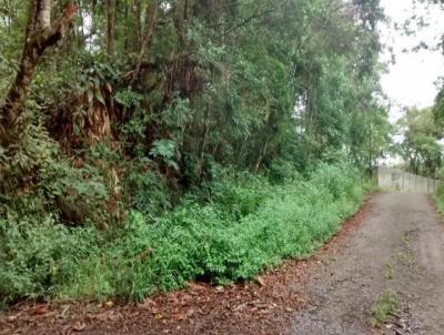 Terreno para Venda, em Itapecerica da Serra, bairro Jardim Petrpolis