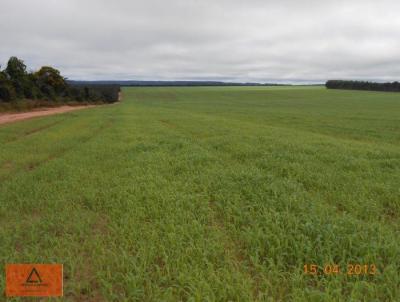 Fazenda para Venda, em Nova Mutum, bairro Rural