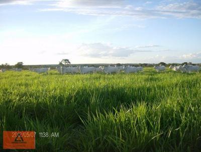 Fazenda para Venda, em Canarana, bairro Rural