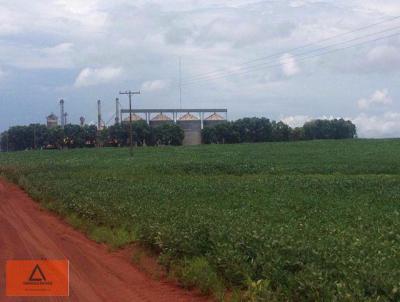 Fazenda para Venda, em Nortelndia, bairro Rural