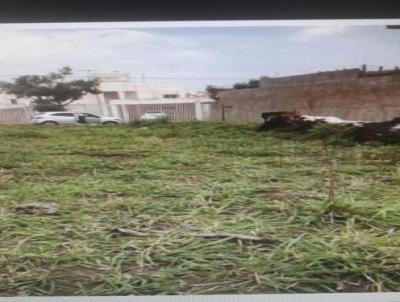 Terreno para Venda, em Presidente Prudente, bairro MACUCO