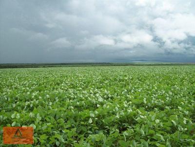 Fazenda para Locao, em Nova Brasilndia, bairro Rural