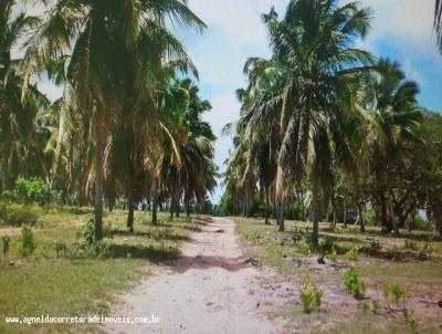 Fazenda para Venda, em Extremoz, bairro capim -extremoz, 3 dormitrios, 2 banheiros, 1 sute, 6 vagas