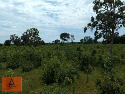 Fazenda para Venda, em Ribeiro Cascalheira, bairro Rural