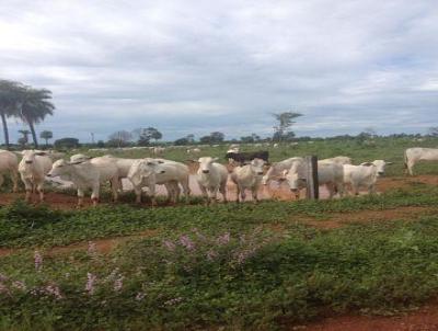 Fazenda para Venda, em Canabrava do Norte, bairro Rural