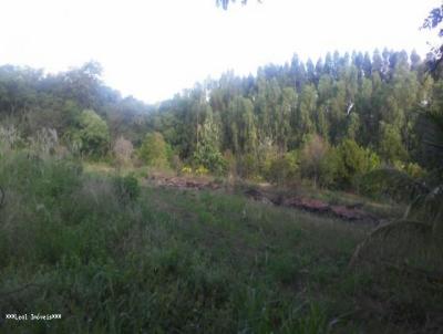 Terreno para Venda, em Presidente Prudente, bairro ROTTA DO SOL