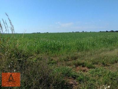 Fazenda para Venda, em Ribeiro Cascalheira, bairro Rural