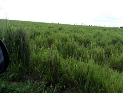 Fazenda para Venda, em Canarana, bairro Rural