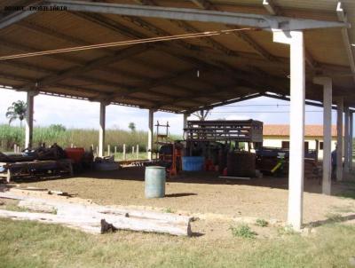 Fazenda para Venda, em Araguana, bairro Conjunto Habitacional Ana Jacinta