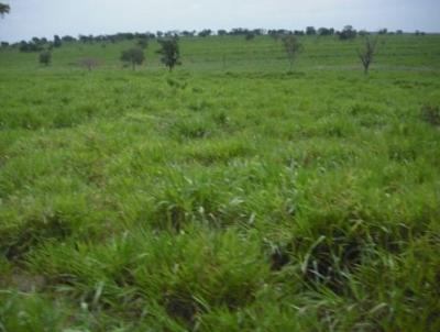 Fazenda para Venda, em Camapu, bairro Conjunto Habitacional Ana Jacinta