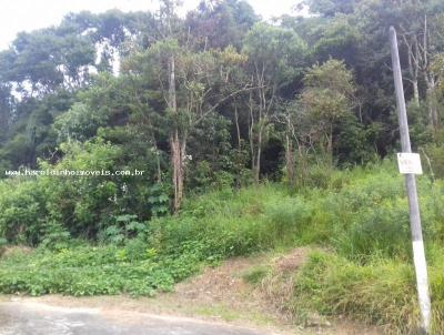 Terreno para Venda, em Terespolis, bairro Icas