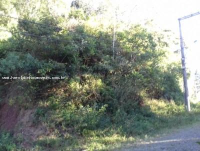 Terreno para Venda, em Terespolis, bairro Comary