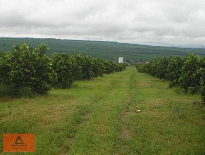 Fazenda para Venda, em Ja, bairro Rural