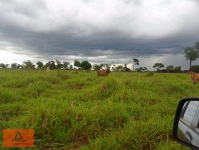 Fazenda para Venda, em So Simo, bairro Ipiranga