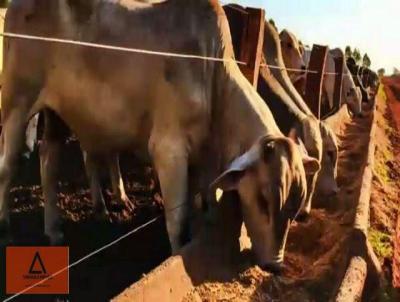 Fazenda para Venda, em Santa Vitria, bairro Higienpolis