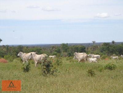 Fazenda para Venda, em Januria, bairro Rural