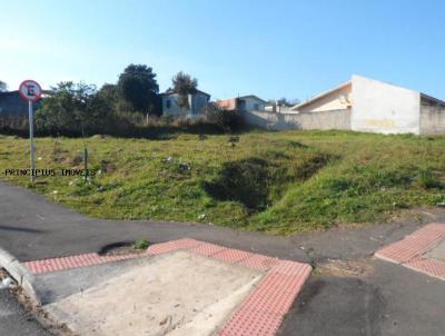 Terreno para Venda, em Campina Grande do Sul, bairro CENTRO