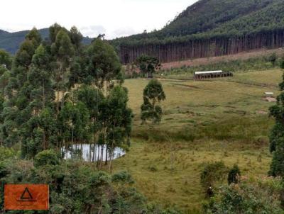 Fazenda para Venda, em Bragana Paulista, bairro Rural