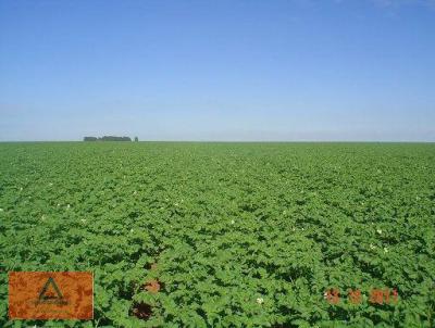 Fazenda para Venda, em Casa Branca, bairro Rural