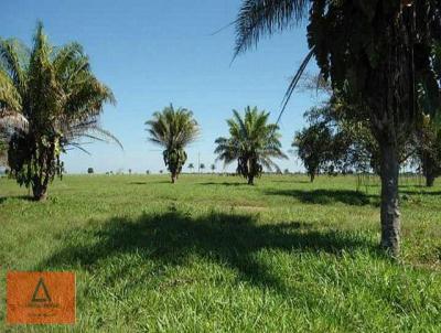 Fazenda para Venda, em Nova Lacerda, bairro Rural