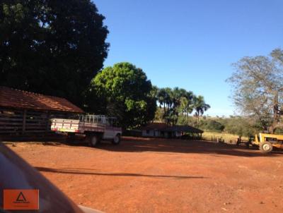 Fazenda para Venda, em Tesouro, bairro Rural