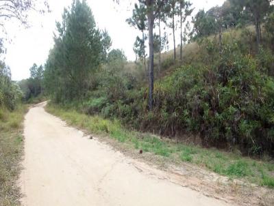 Terreno para Venda, em Jarinu, bairro Campo Realengo