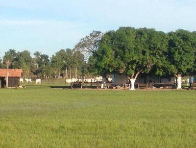 Fazenda para Venda, em , bairro Interior