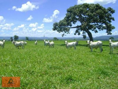 Fazenda para Venda, em Sanclerlndia, bairro Rural