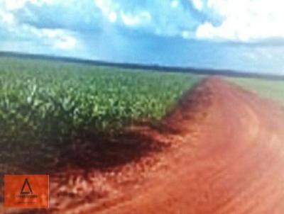 Fazenda para Venda, em Sinop, bairro Rural