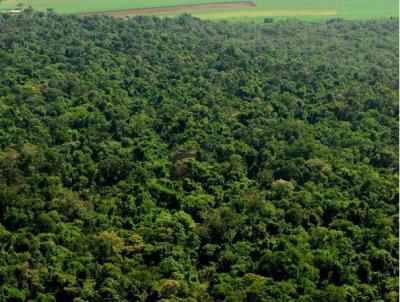 Fazenda para Venda, em Perube, bairro Rural