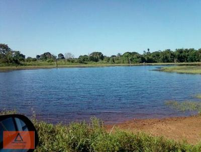 Fazenda para Venda, em So Flix do Xingu, bairro Rural