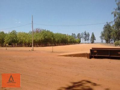 Fazenda para Venda, em Nova Xavantina, bairro Rural