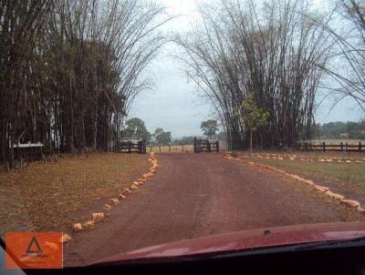 Fazenda para Venda, em So Jos do Povo, bairro Rural