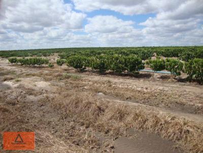 Fazenda para Venda, em Stio d`Abadia, bairro Rural