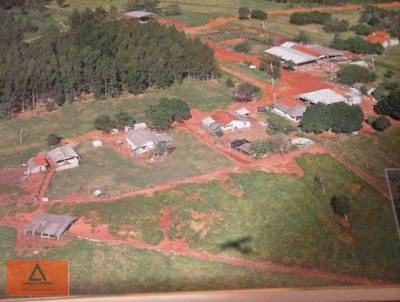 Fazenda para Venda, em Navira, bairro Rural