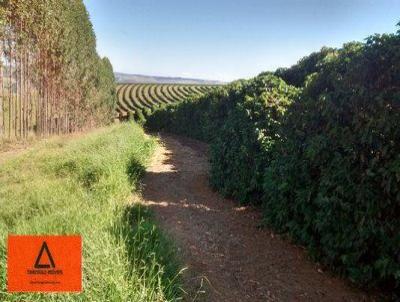 Fazenda para Venda, em Arax, bairro Rural