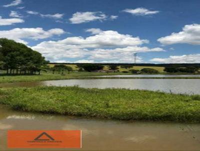 Fazenda para Venda, em Ipameri, bairro Rural