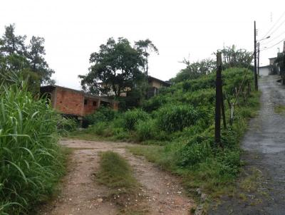 Terreno para Venda, em Petrópolis, bairro Bingen