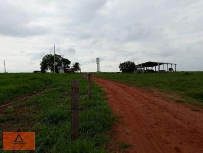 Fazenda para Venda, em Ribeiro Cascalheira, bairro Rural